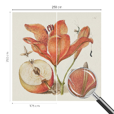 Fotobehang voor de kinderkamer Botanische illustratie