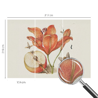 Fotobehang voor de kinderkamer Botanische illustratie
