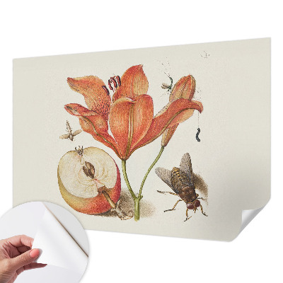Fotobehang voor de kinderkamer Botanische illustratie