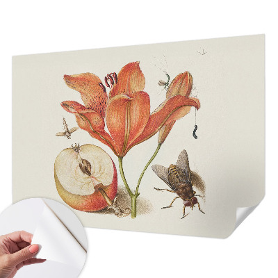 Fotobehang voor de kinderkamer Botanische illustratie