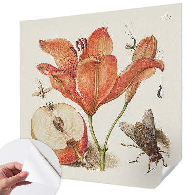 Fotobehang voor de kinderkamer Botanische illustratie