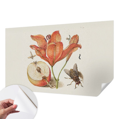 Fotobehang voor de kinderkamer Botanische illustratie