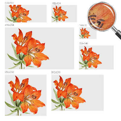 Fotobehang tienerkamer Oranje lelie