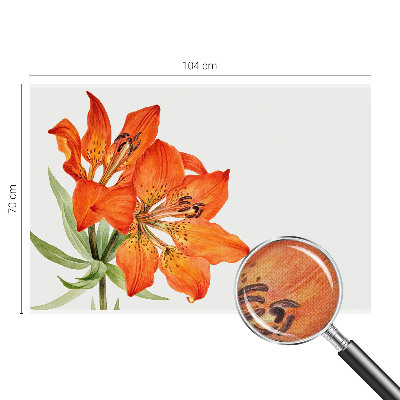 Fotobehang tienerkamer Oranje lelie
