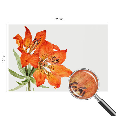 Fotobehang tienerkamer Oranje lelie