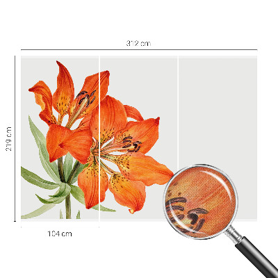 Fotobehang tienerkamer Oranje lelie