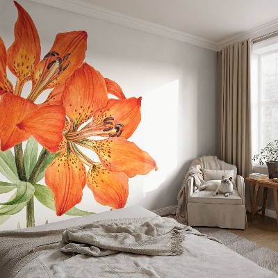 Fotobehang tienerkamer Oranje lelie