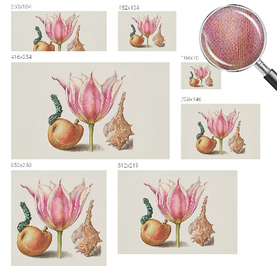 Foto behang voor de keuken Natuurlijke symbiose