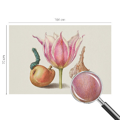 Foto behang voor de keuken Natuurlijke symbiose