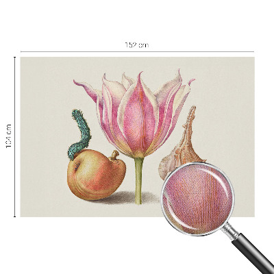 Foto behang voor de keuken Natuurlijke symbiose