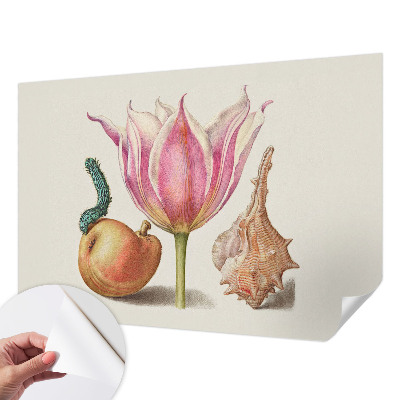 Foto behang voor de keuken Natuurlijke symbiose