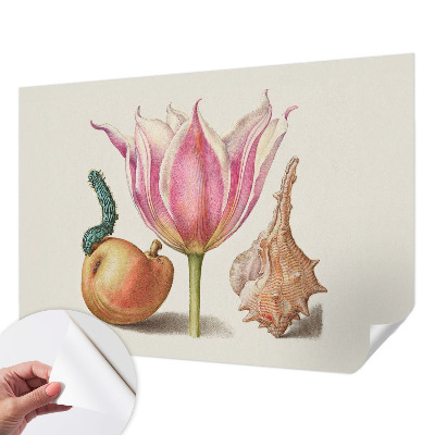 Foto behang voor de keuken Natuurlijke symbiose