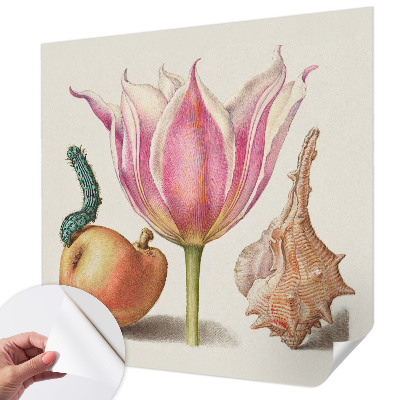 Foto behang voor de keuken Natuurlijke symbiose