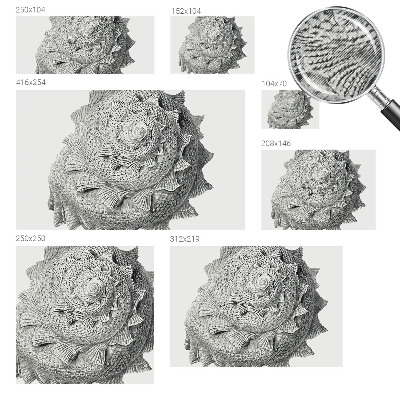 Fotobehang kinderkamer De kunst van de natuur