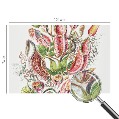Fotobehang voor kinderkamer met plantmotieven