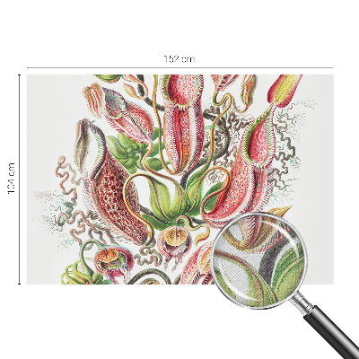 Fotobehang voor kinderkamer met plantmotieven