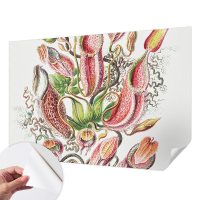 Fotobehang voor kinderkamer Plantdetails