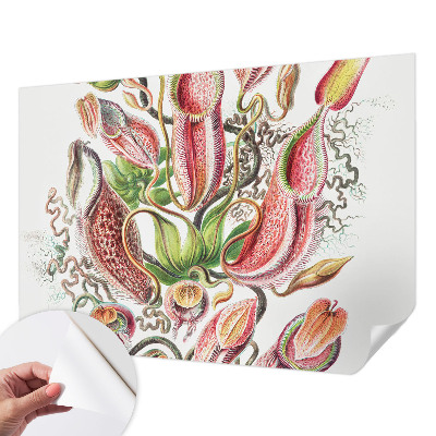 Fotobehang voor kinderkamer met plantmotieven