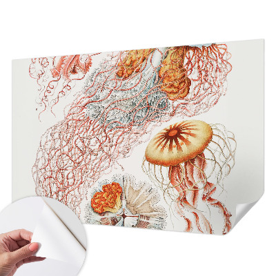 Fotobehang babykamer met print van een sierkwal