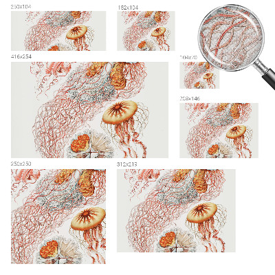 Fotobehang babykamer Sierkwal