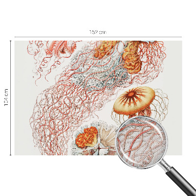 Fotobehang babykamer Sierkwal