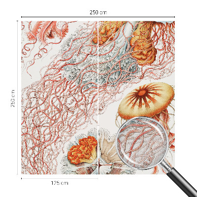 Fotobehang babykamer Sierkwal