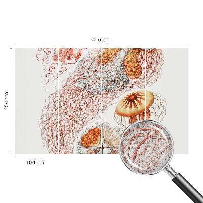 Fotobehang babykamer Sierkwal