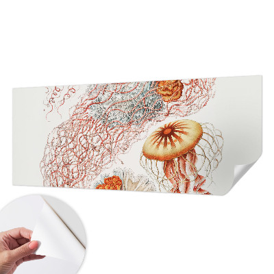Fotobehang babykamer met print van een sierkwal