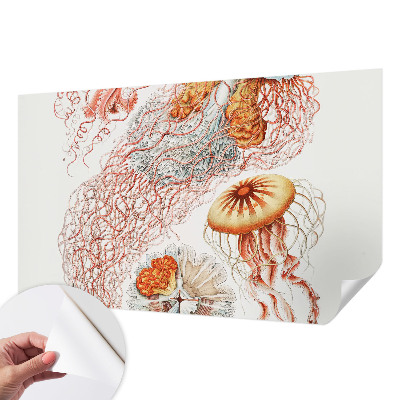 Fotobehang babykamer Sierkwal