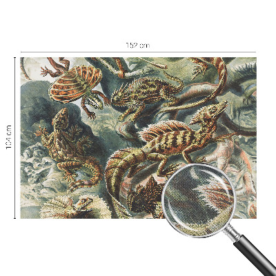 Fotobehang voor de kinderkamer met een ontwerp van exotische reptielen