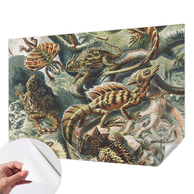 Fotobehang voor de kinderkamer Exotische reptielen