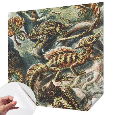 Fotobehang voor de kinderkamer Exotische reptielen