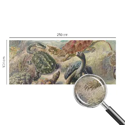 Foto behang voor de keuken met schildpadmotief