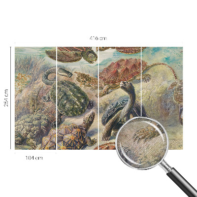 Foto behang voor de keuken Schildpadfauna