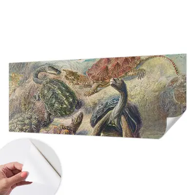 Foto behang voor de keuken met schildpadmotief