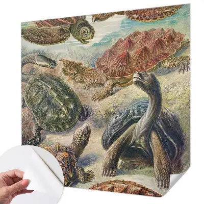 Foto behang voor de keuken met schildpadmotief