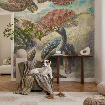 Foto behang voor de keuken Schildpadfauna