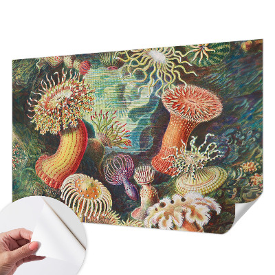 Zelfklevend fotobehang met sierlijke zeeanemonen