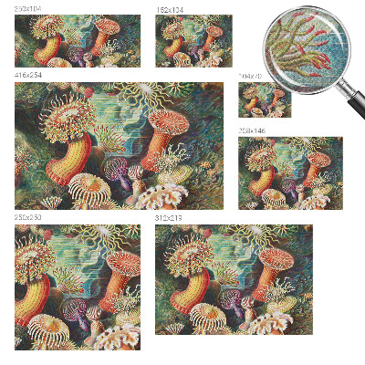 Zelfklevend fotobehang met sierlijke zeeanemonen