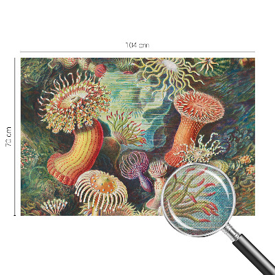 Zelfklevend fotobehang met sierlijke zeeanemonen