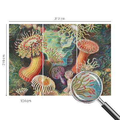 Zelfklevend fotobehang met sierlijke zeeanemonen