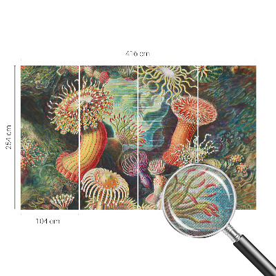 Zelfklevend fotobehang Sierlijke zeeanemonen