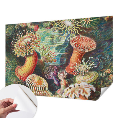 Zelfklevend fotobehang met sierlijke zeeanemonen