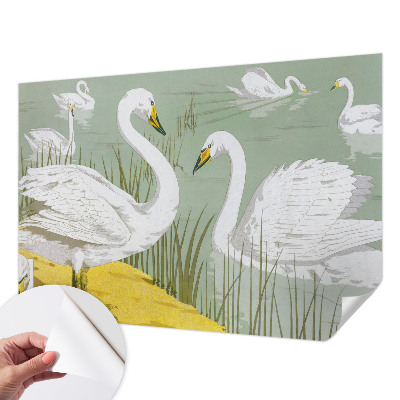 Fotobehang zelfklevend Zwanenmeer