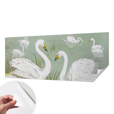 Fotobehang zelfklevend Zwanenmeer