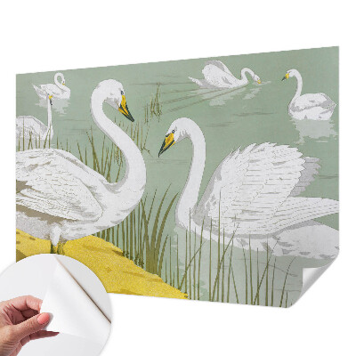 Fotobehang zelfklevend Zwanenmeer