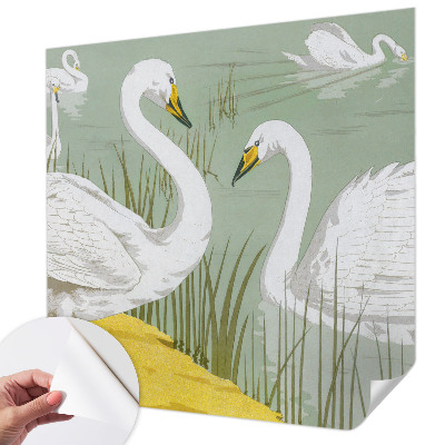 Fotobehang zelfklevend Zwanenmeer