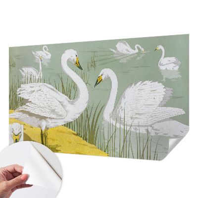 Fotobehang zelfklevend Zwanenmeer