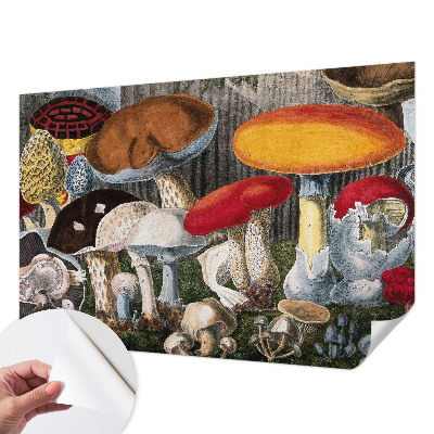 Fotobehang babykamer met een botanisch paddenstoelenmotief