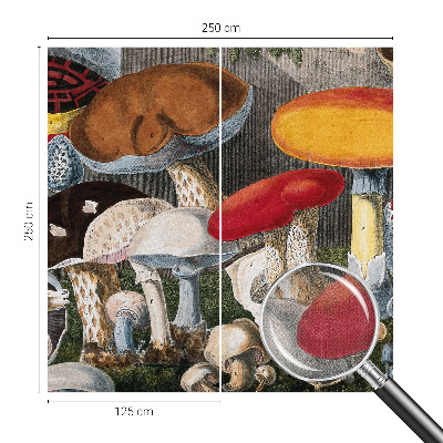 Fotobehang babykamer Botanische paddenstoelen